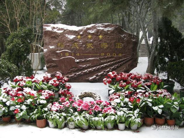 杨成武墓碑上雕刻的铁索