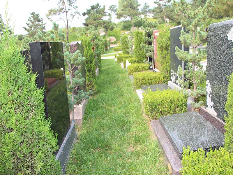 天寿普渡园墓型