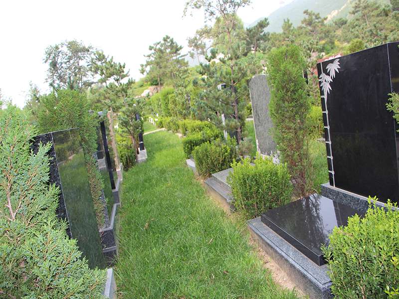 天寿普渡园墓型