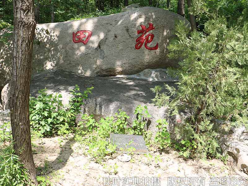 水泉沟纪念林自然石艺术墓