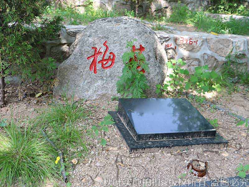 水泉沟纪念林艺术墓