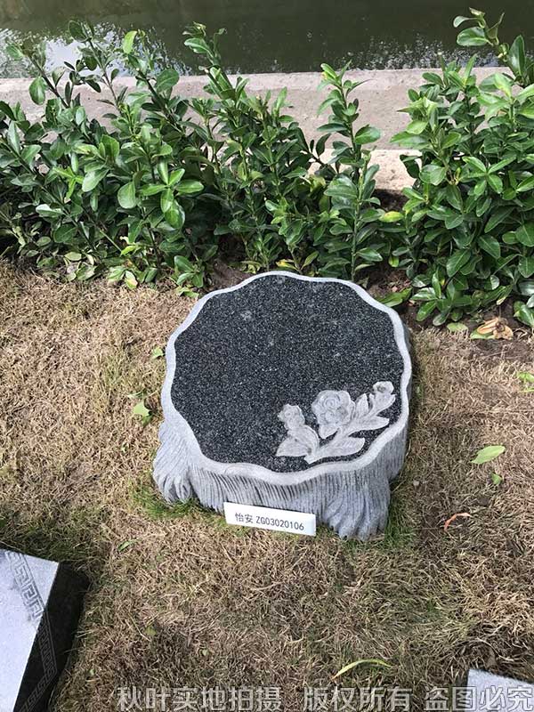 福寿园树葬