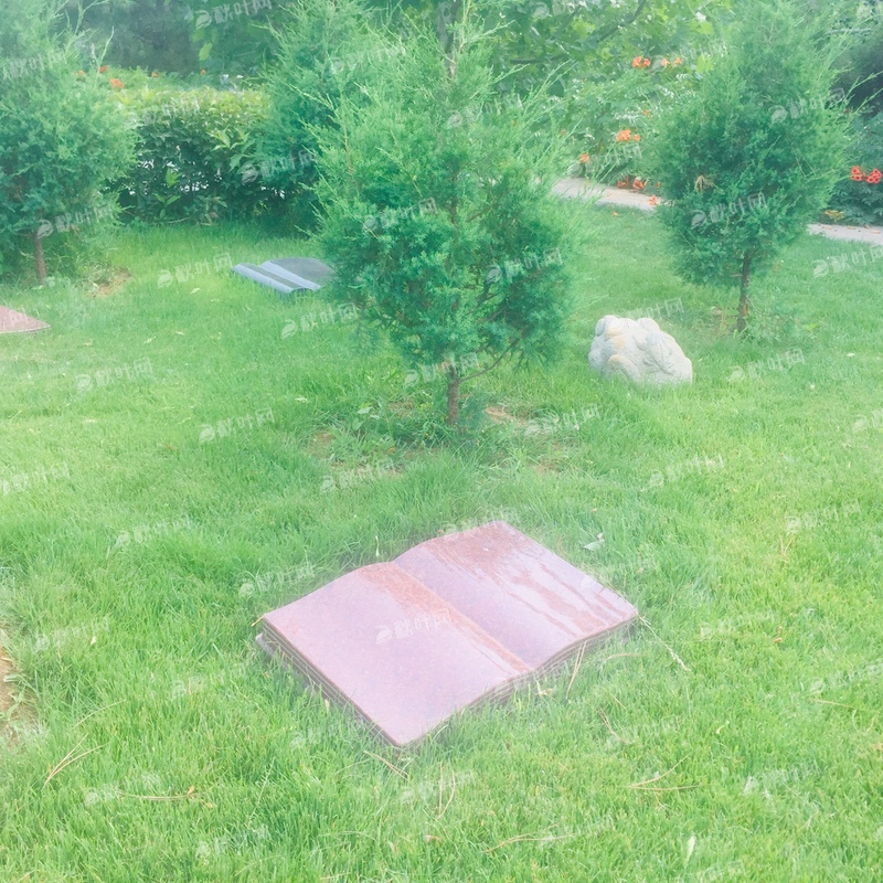 艺术树葬碑3