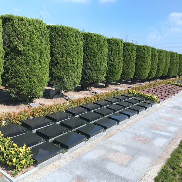 华南陵园生态草坪葬