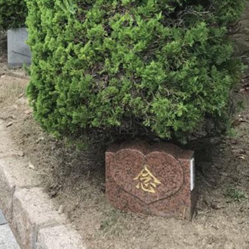 紫竹苑树葬2